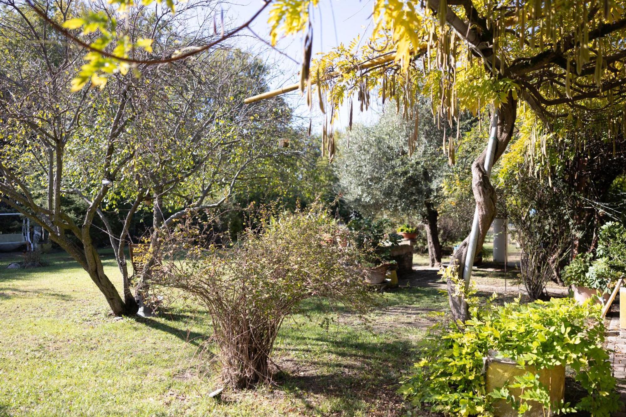 Locanda Acetaia Malagoli Daniele Кастельфранко-Емілія Екстер'єр фото